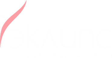 Эклипс — академия воздушной акробатики