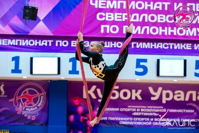 Воздушная акробатика в академии «Эклипс», Берёзовский — фото 55