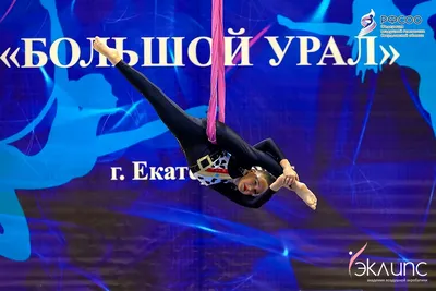 Воздушная акробатика в академии «Эклипс», Берёзовский — фото 11
