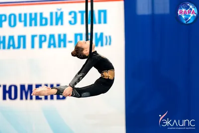 Воздушная акробатика в академии «Эклипс», Берёзовский — фото 37