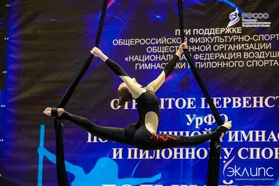 Воздушная акробатика в академии «Эклипс», Берёзовский — фото 19