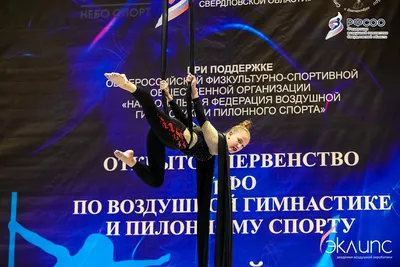 Воздушная акробатика в академии «Эклипс», Берёзовский — фото 20