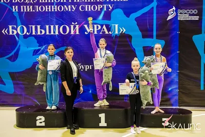 Воздушная акробатика в академии «Эклипс», Берёзовский — фото 26
