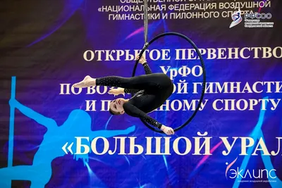 Воздушная акробатика в академии «Эклипс», Берёзовский — фото 29