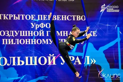Воздушная акробатика в академии «Эклипс», Берёзовский — фото 33