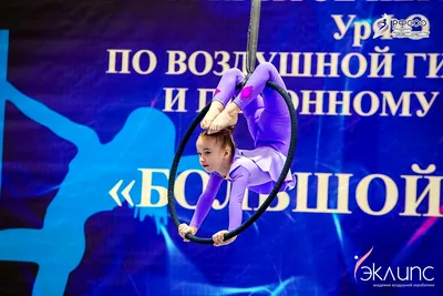 Воздушная акробатика в академии «Эклипс», Берёзовский — фото 46