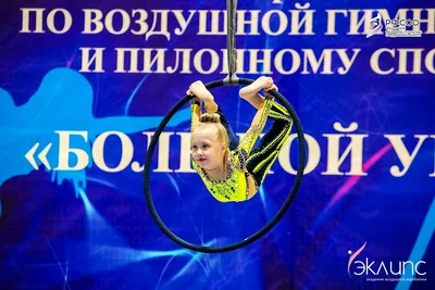 Воздушная акробатика в академии «Эклипс», Берёзовский — фото 50