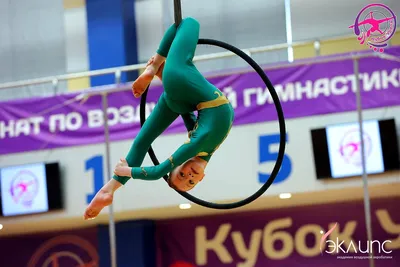Воздушная акробатика в академии «Эклипс», Берёзовский — фото 33