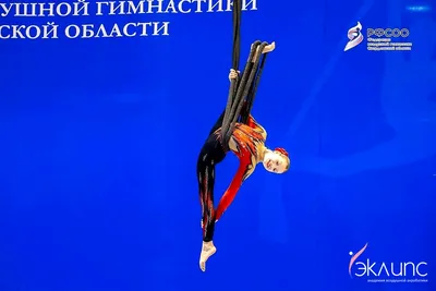 Воздушная акробатика в академии «Эклипс», Берёзовский — фото 40
