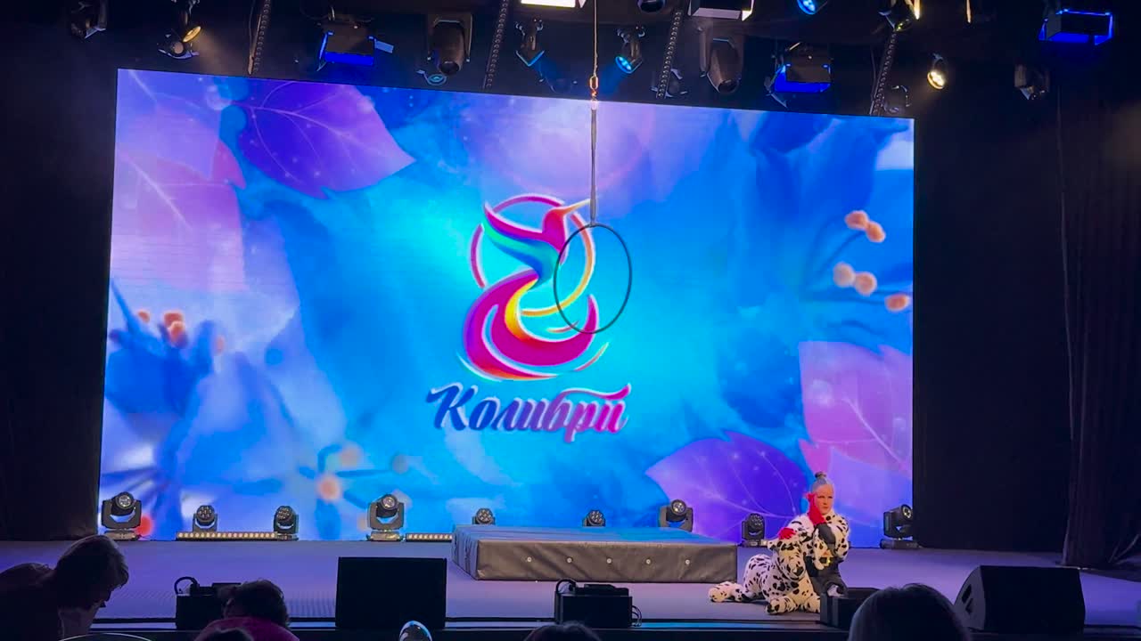 Выступление № 17 — воздушная акробатика, академия «Эклипс»